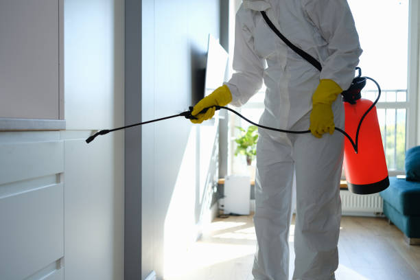 Best Water Damage & Mold Remediation  in Milford City, CT