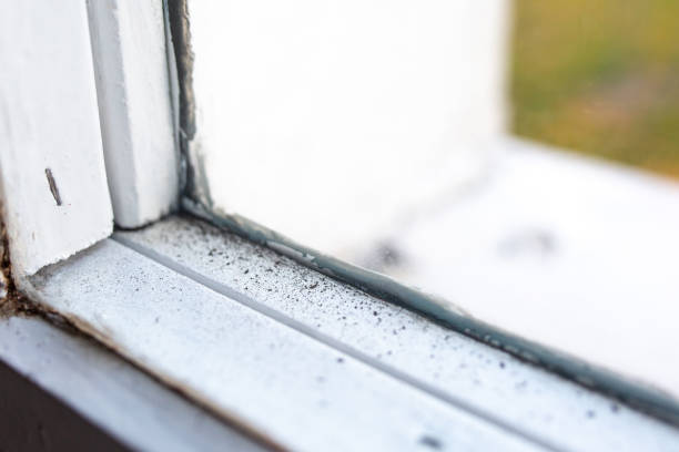 Best Air Quality Testing for Mold Spores  in Milford City, CT